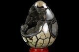 Septarian Dragon Egg Geode - Black Crystals #98850-3